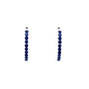 Roman + Jules<br>Earrings